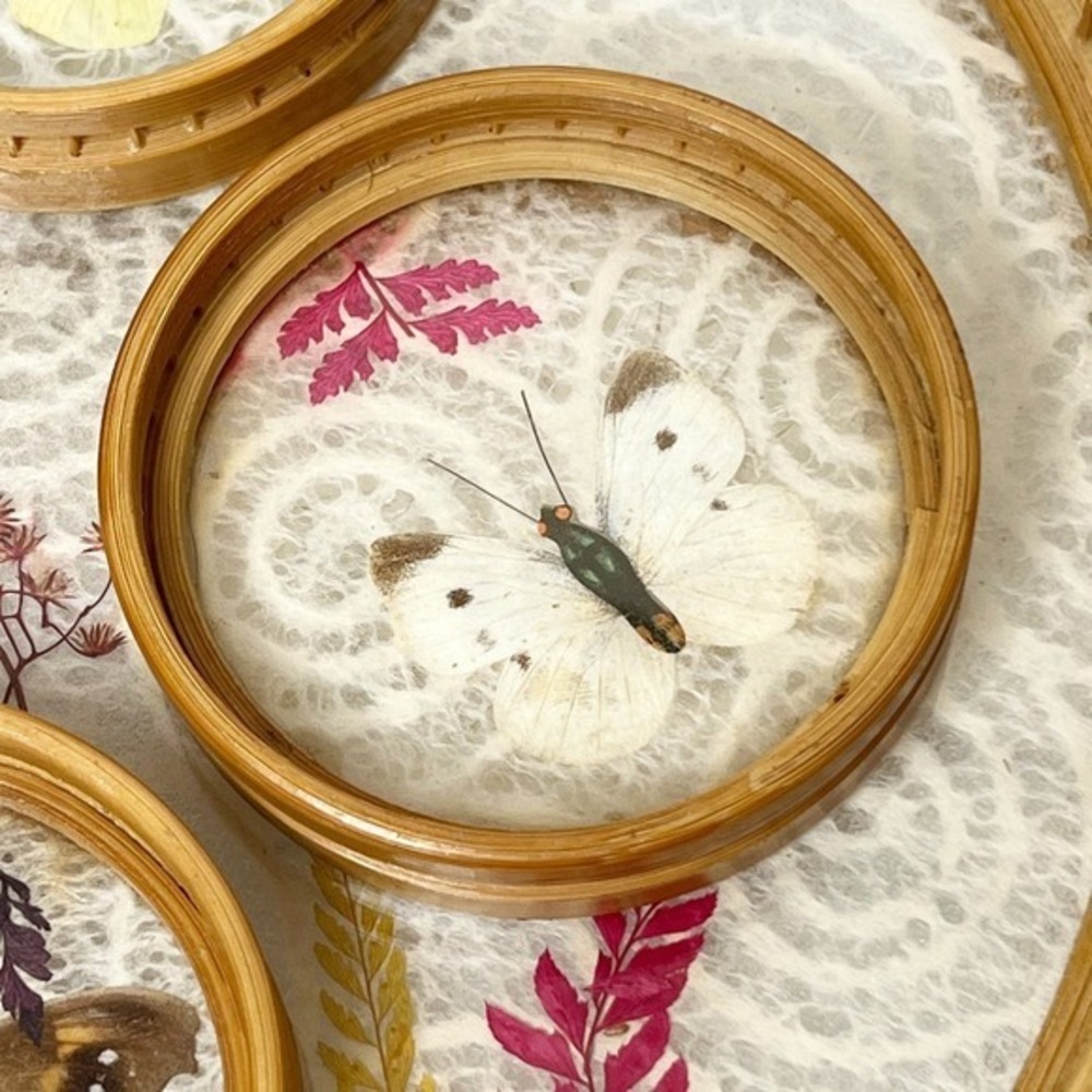 Vintage MCM‎ Pressed Butterfly Bamboo Tray & Coaster Set 6 Pieces - Picture 3 of 13